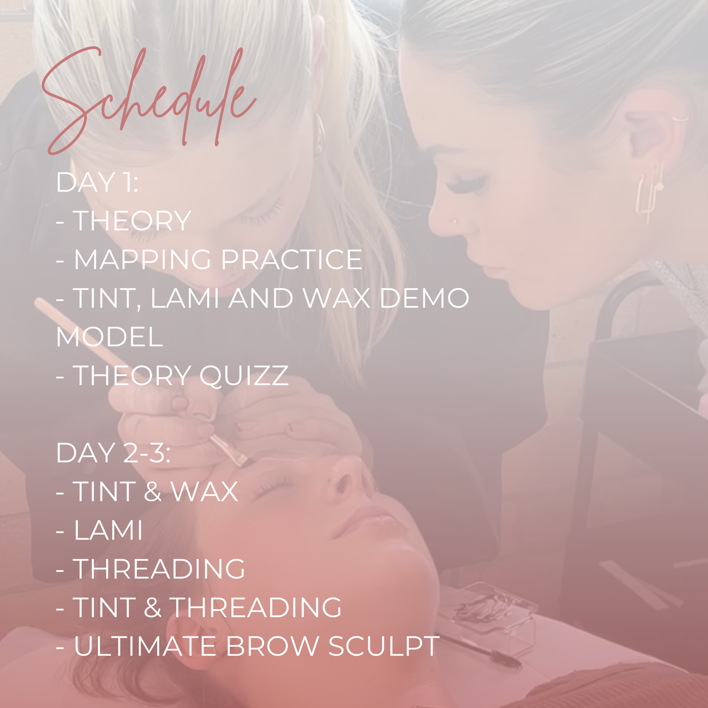 BRISBANE: Ultimate Brow Course: Brow waxing, Tinting, Lamination and Threading